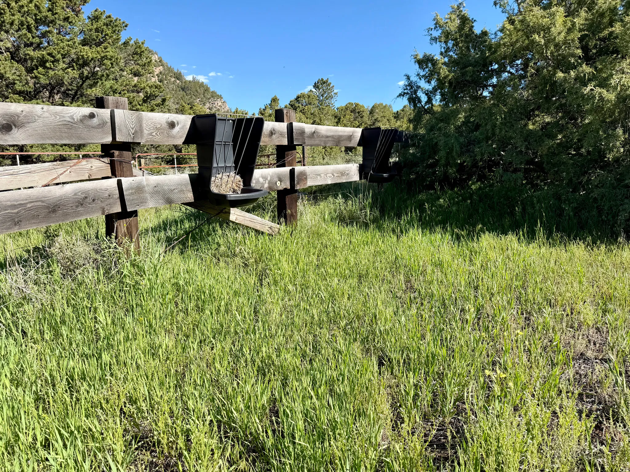 Wooden fence line bordering a grassy expanse with distant trees and hills