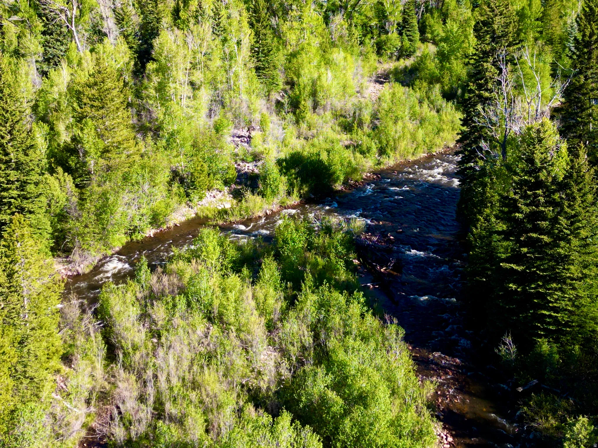 Mountain river meandering through verdant forests
