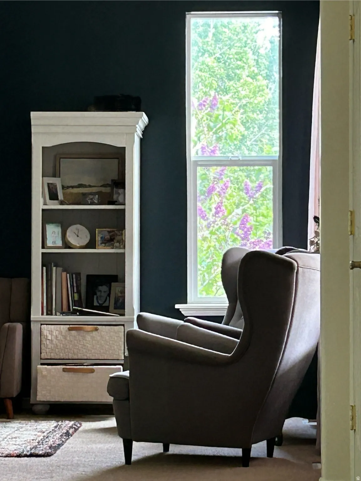 Tall double-hung window providing natural light and exterior green foliage