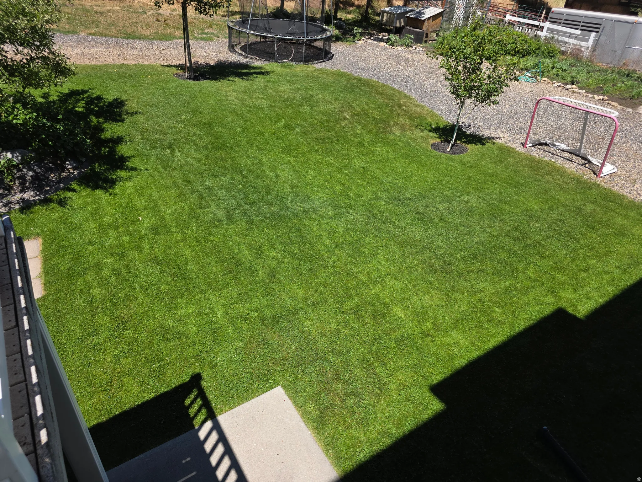 Expansive green lawn with mature trees and a gravel perimeter