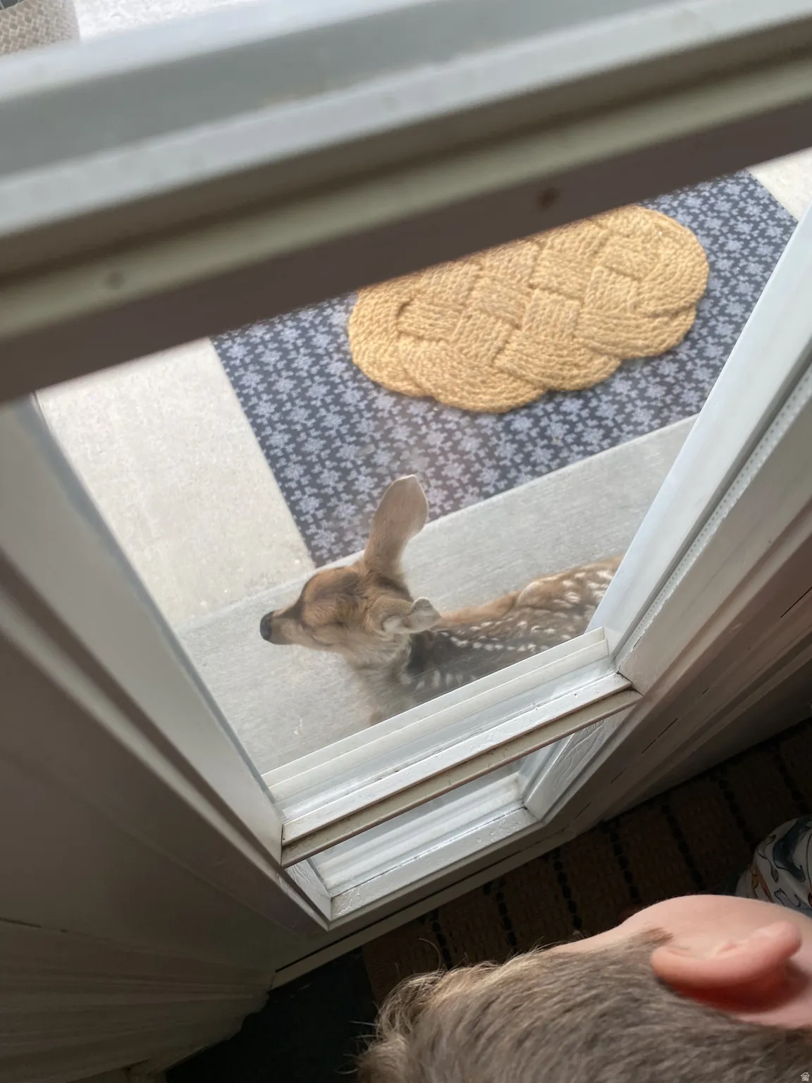 Local guests visiting coming to visit you.