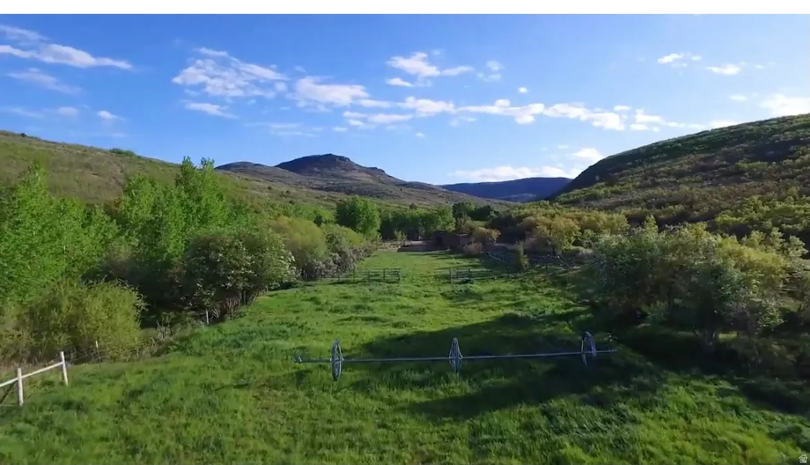 Expansive green pastureland with mature trees and natural hillsides, bordered by a rustic fence line