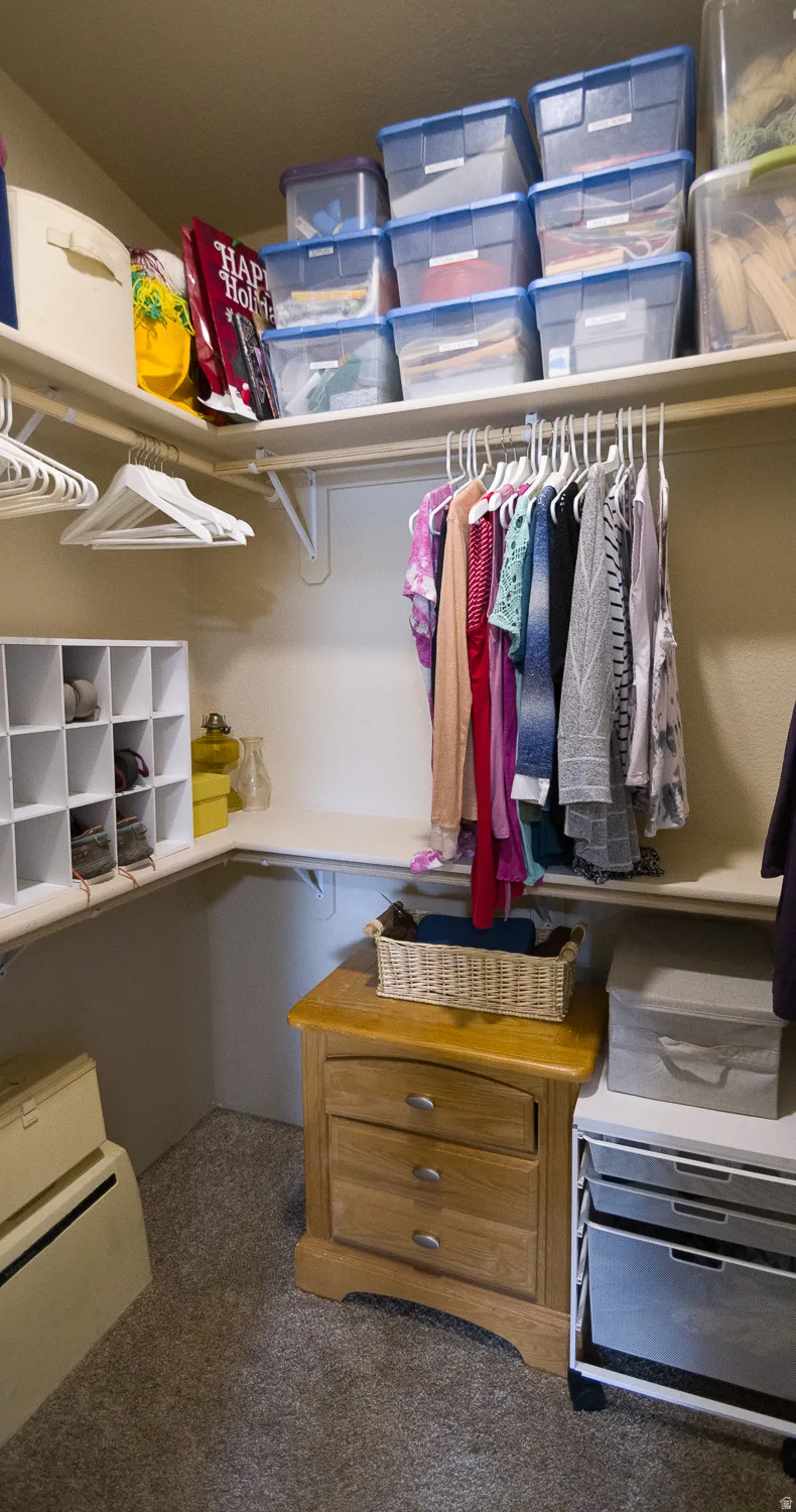 Walk-in closet featuring built-in shelving, white clothes rods, neutral carpeting, and a built-in shoe organizer