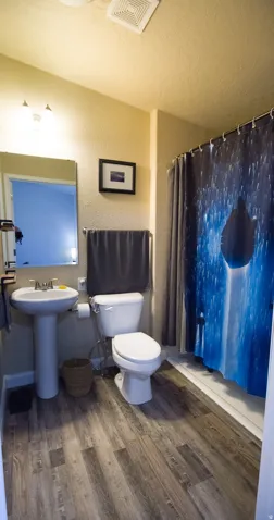 Wood-finish flooring throughout the bathroom, featuring a pedestal sink, a toilet, a shower stall, and an overhead ventilation fan