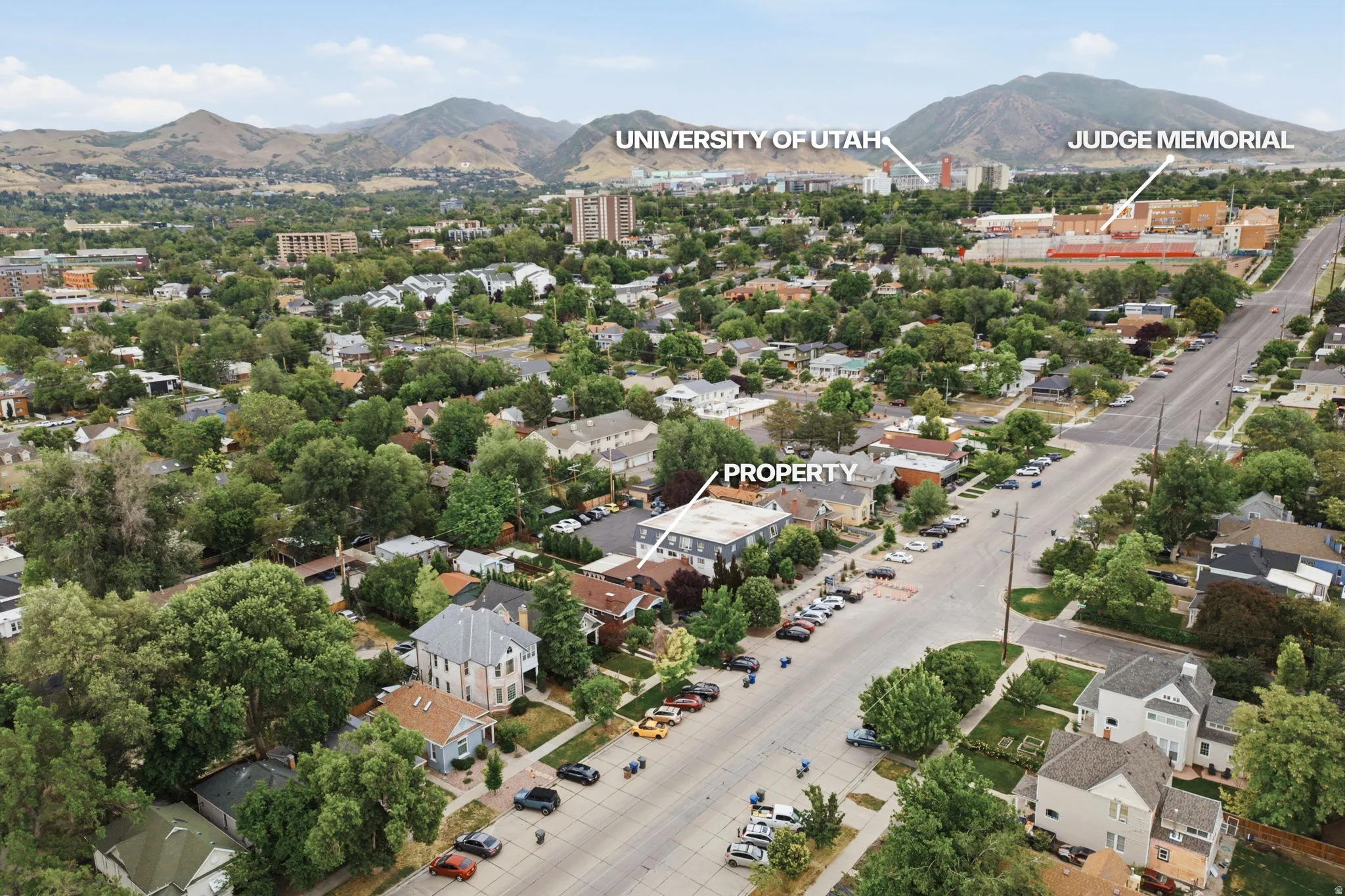 Aerial perspective showcasing the property within a tree-lined residential area