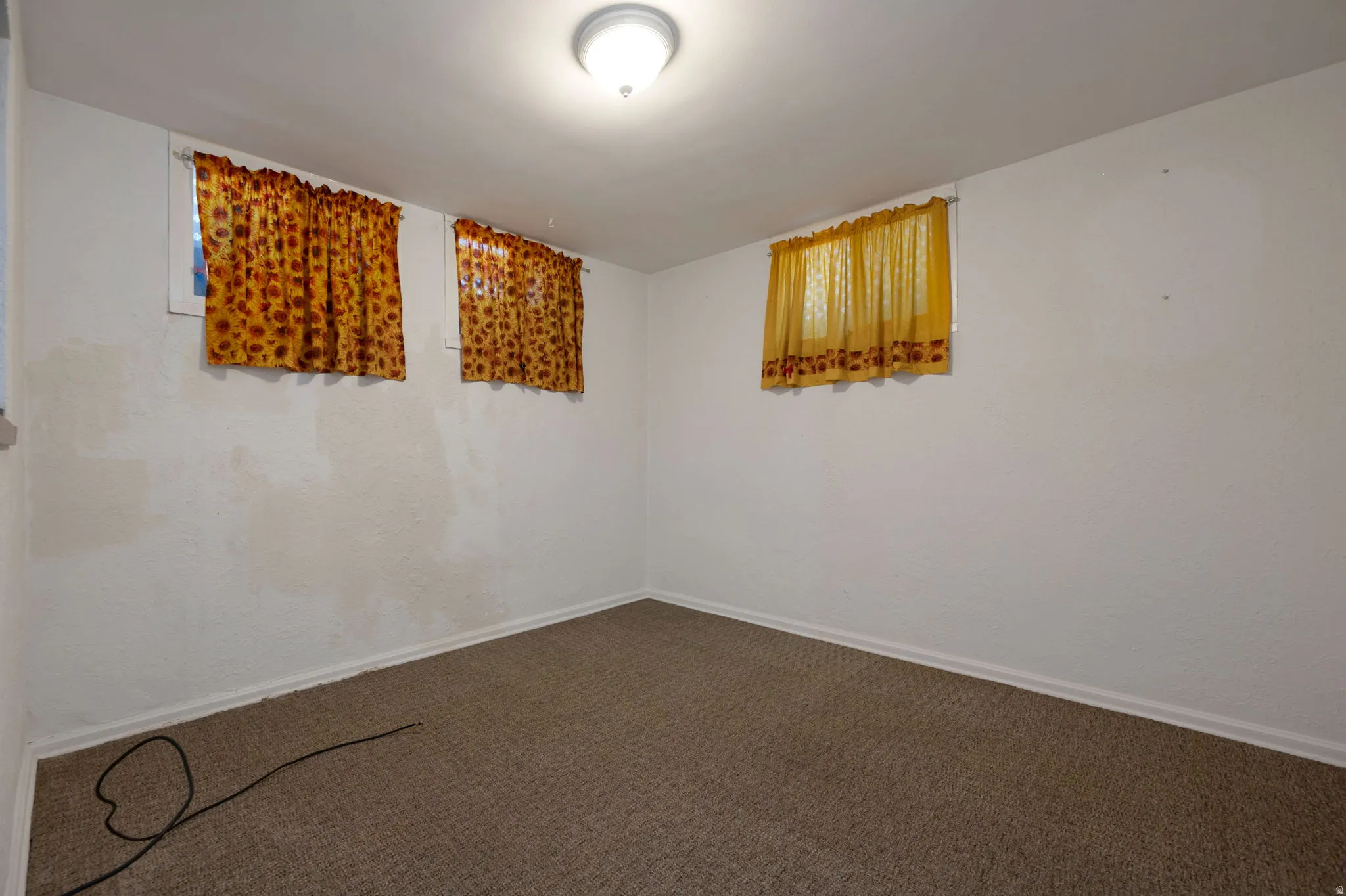Carpeted room featuring white walls and multiple windows
