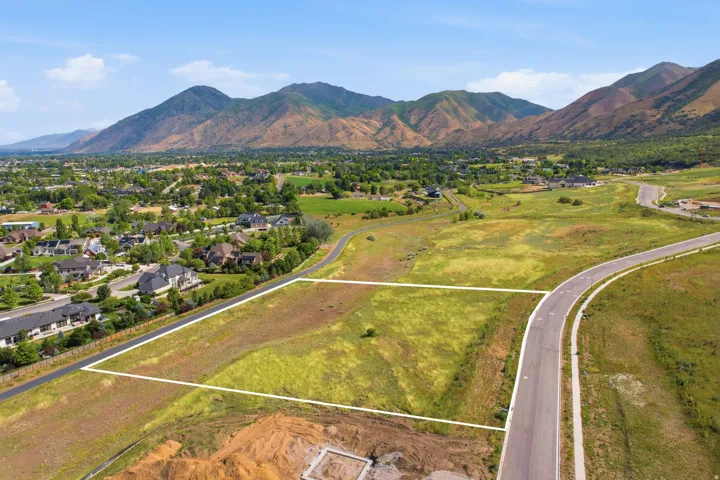 Expansive undeveloped land parcel featuring a clear boundary outline