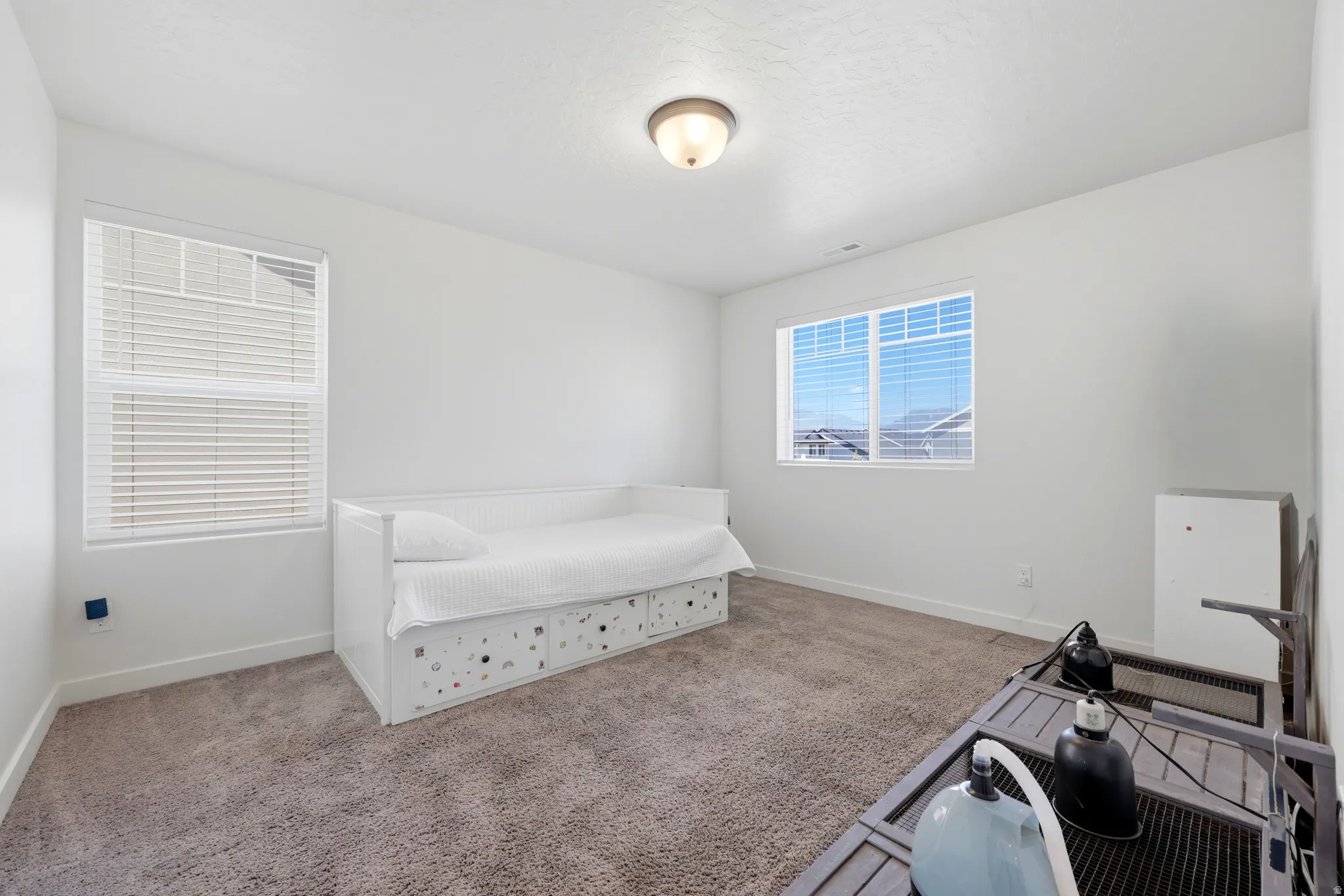 Bright room featuring two windows with horizontal blinds, plush carpeting, a white baseboard trim, and a flush-mount ceiling light fixture