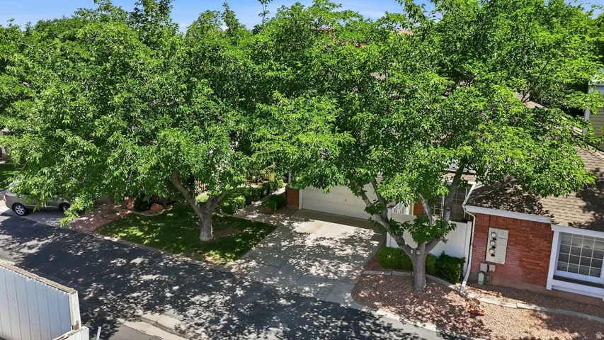 Mature trees providing ample canopy cover over the front yard and driveway
