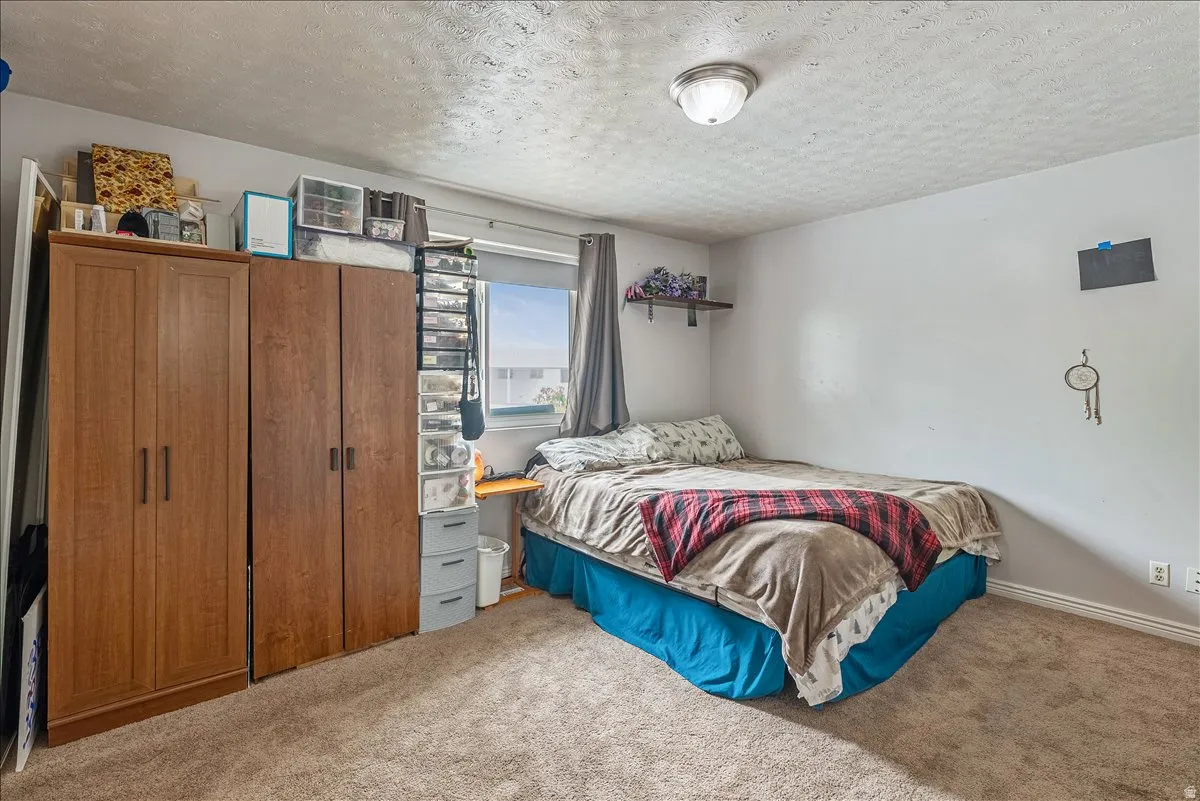 Carpeted interior room featuring light-toned walls and a window with blinds