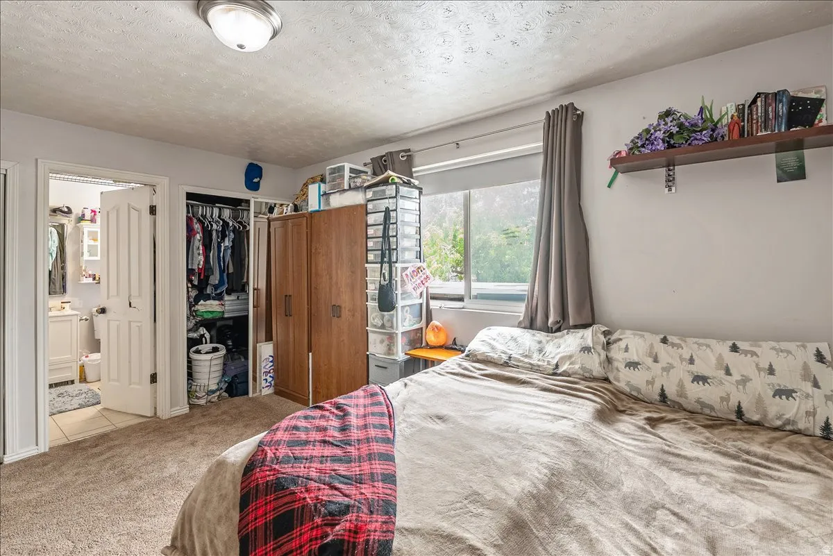 Carpeted interior space featuring a window with exterior visibility, a built-in closet, and a white paneled door