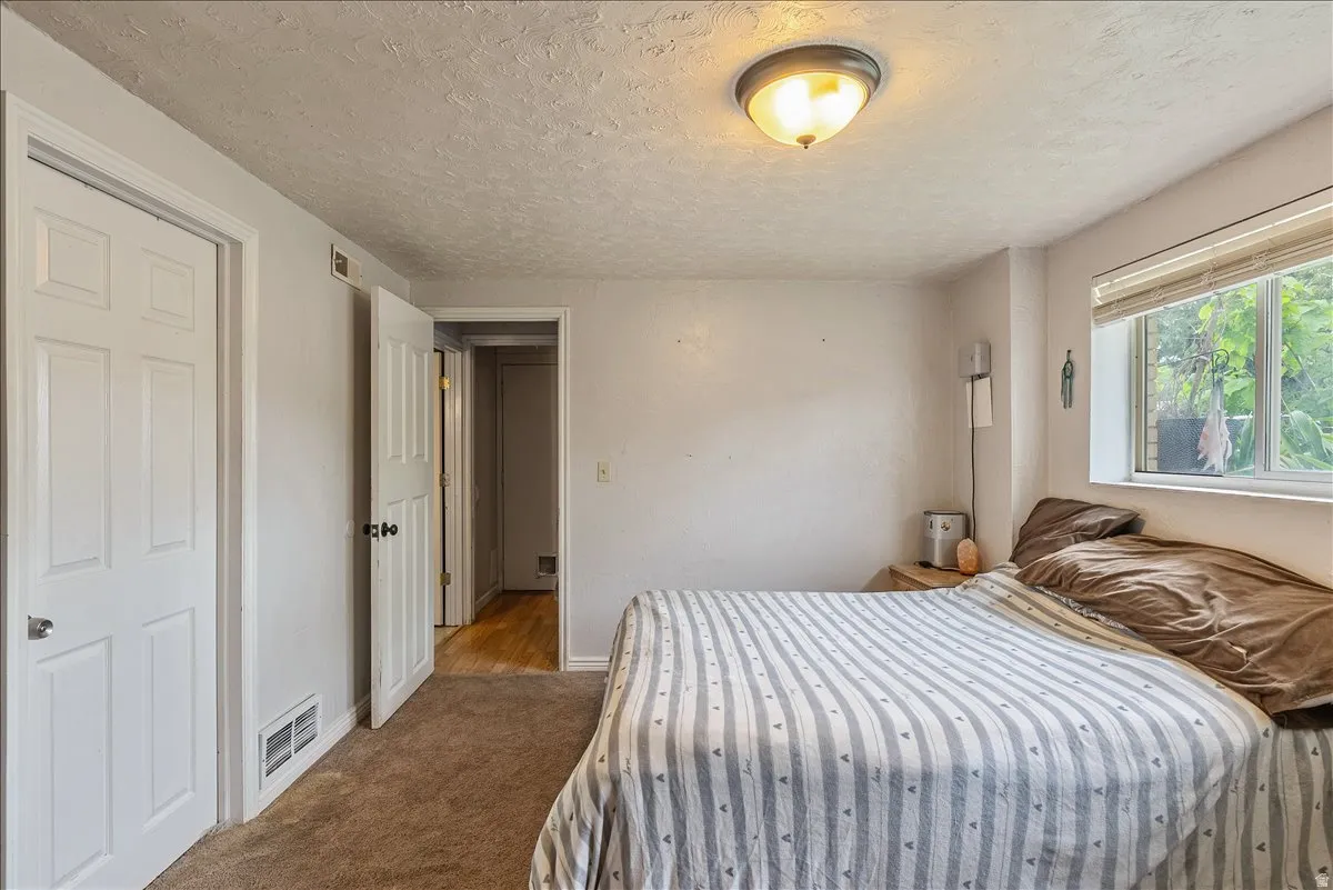 Carpeted room with a window featuring blinds, a ceiling-mounted light fixture, and two panel doors