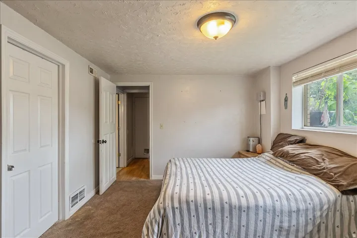 Carpeted room with a window featuring blinds, a ceiling-mounted light fixture, and two panel doors
