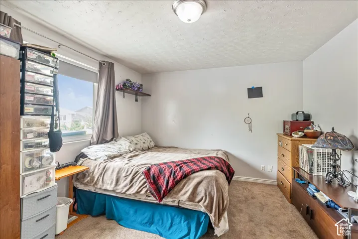 Bedroom featuring neutral wall paint, textured ceiling, a window with roller blind, and brown carpeting