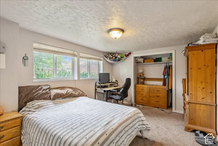 Carpeted room featuring multiple windows with blinds, a ceiling-mounted light fixture, and an open closet space with built-in shelving
