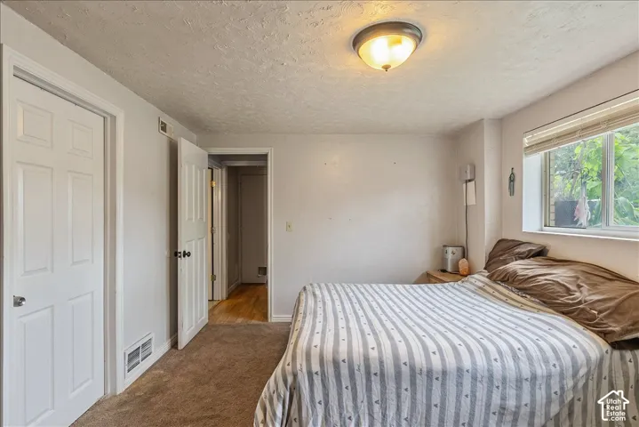 Carpeted room with a window featuring blinds, a ceiling-mounted light fixture, and two panel doors