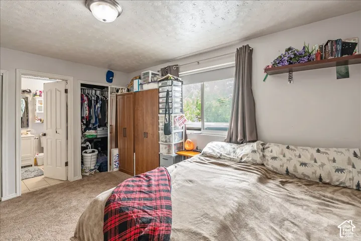Carpeted interior space featuring a window with exterior visibility, a built-in closet, and a white paneled door