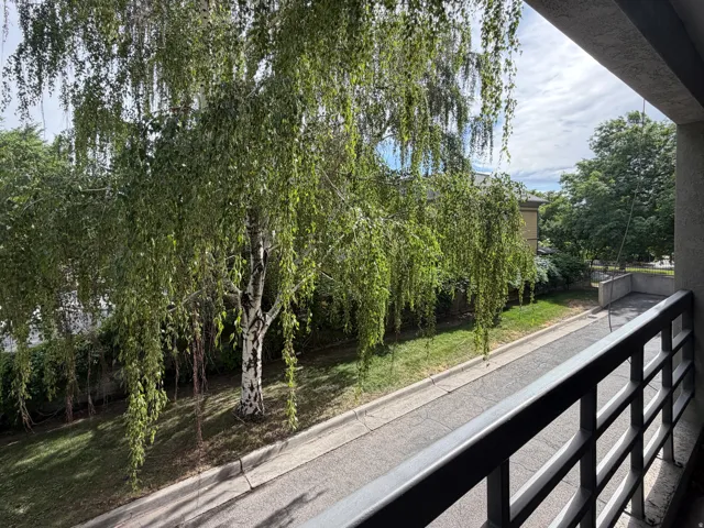 Balcony with metal railing overlooking a mature weeping birch tree, green lawn, and paved street