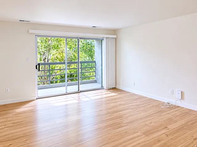 Spacious room featuring wood-finish flooring, white baseboards, and light-toned walls