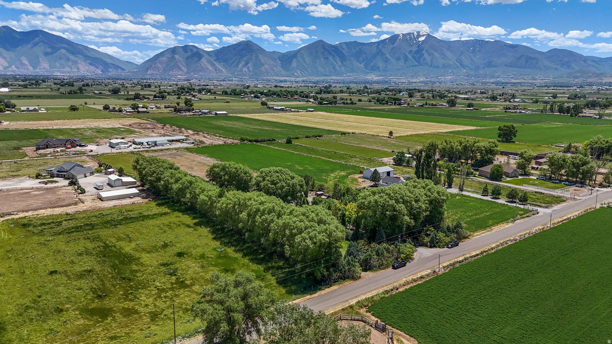 Expansive green fields with distant mountainous terrain under a clear sky