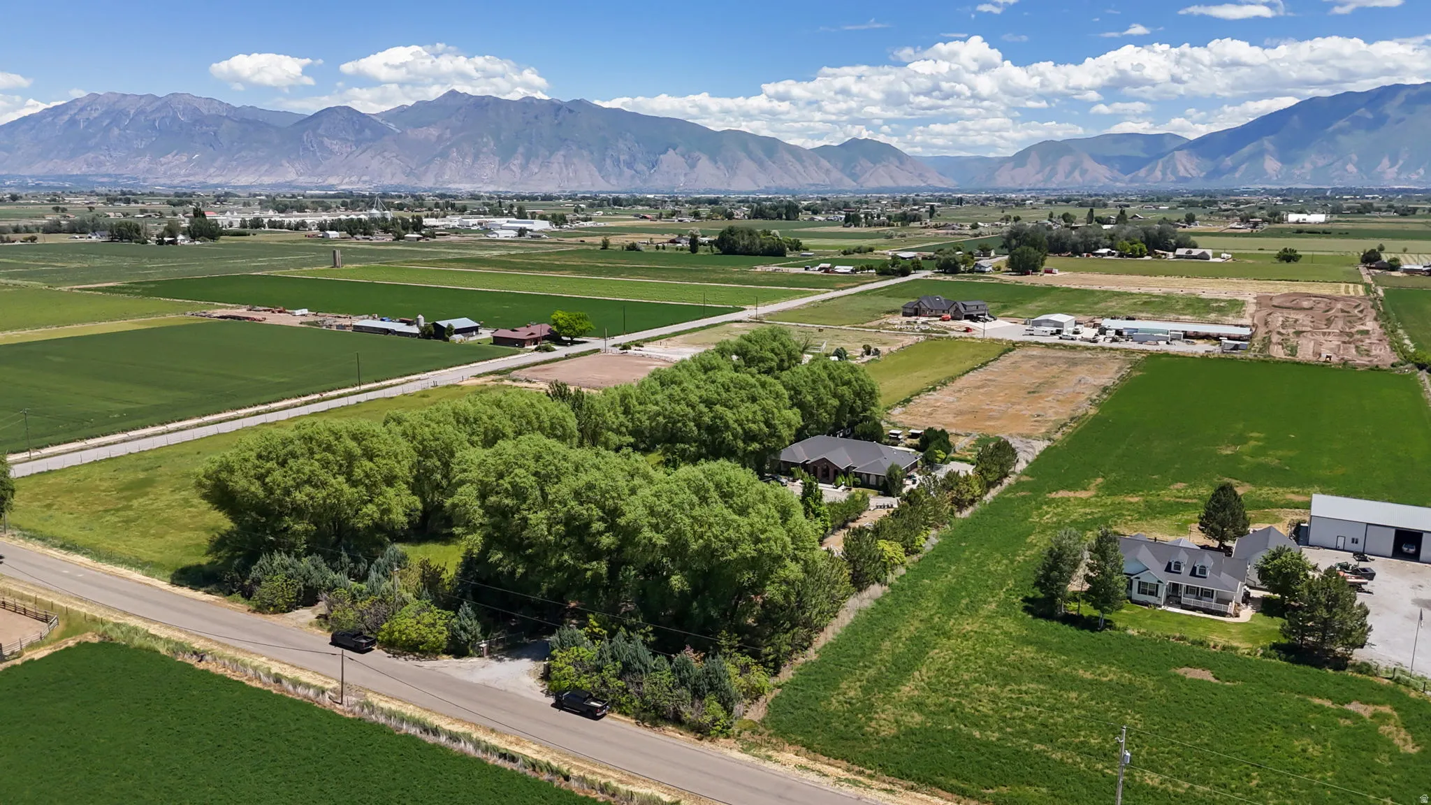 Expansive property featuring a mature tree line, multiple structures, and agricultural fields