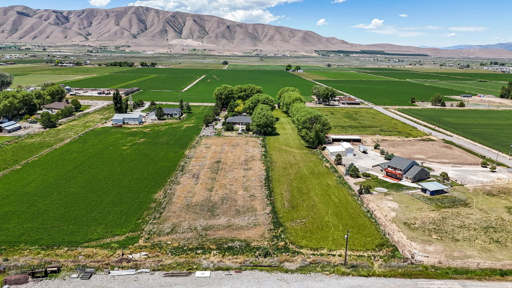 Expansive agricultural land featuring a verdant green field and mountain backdrop