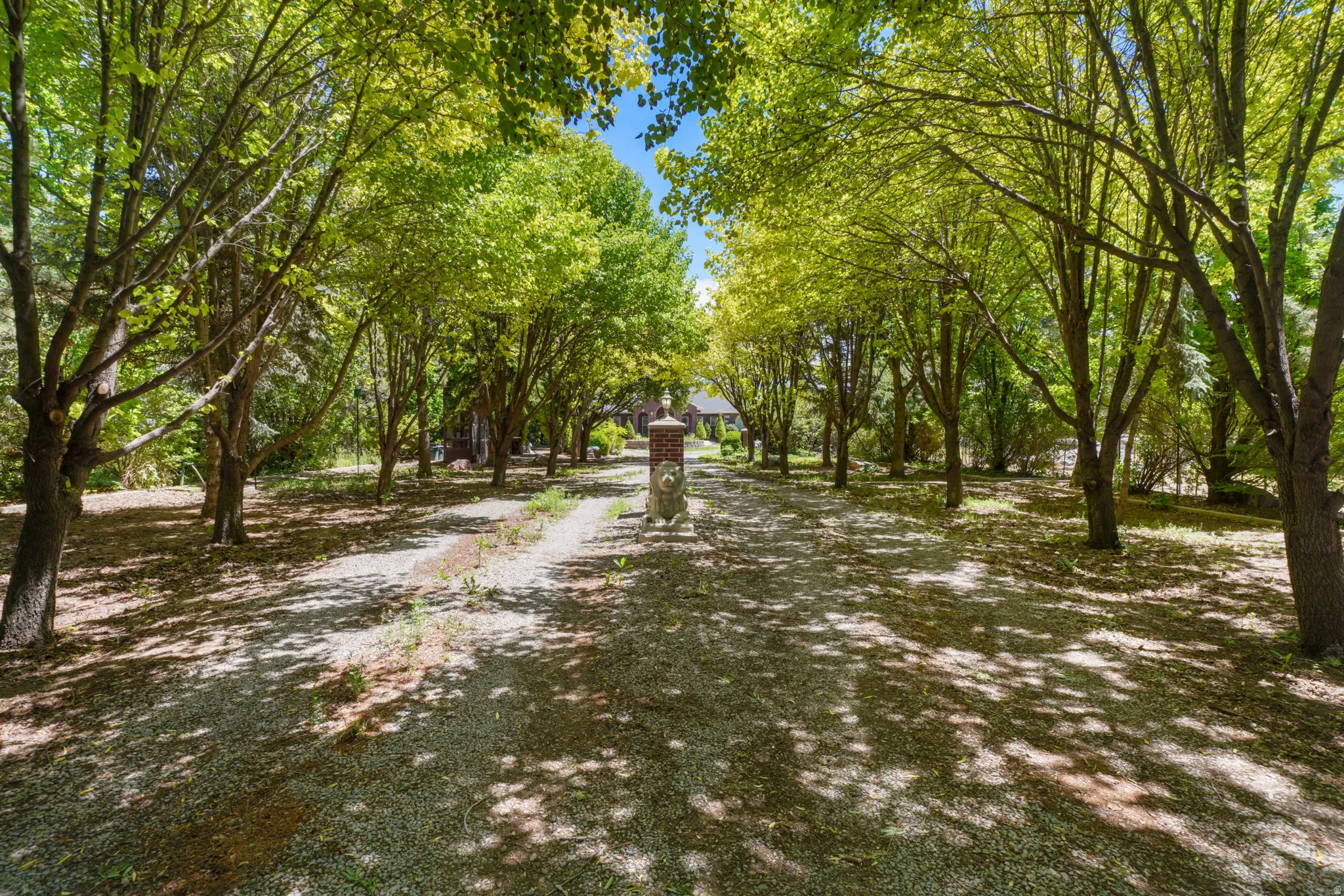 Gravel driveway surrounded by mature trees, providing natural shade and a secluded approach, Concrete Lion guards the way with a light behind lion.