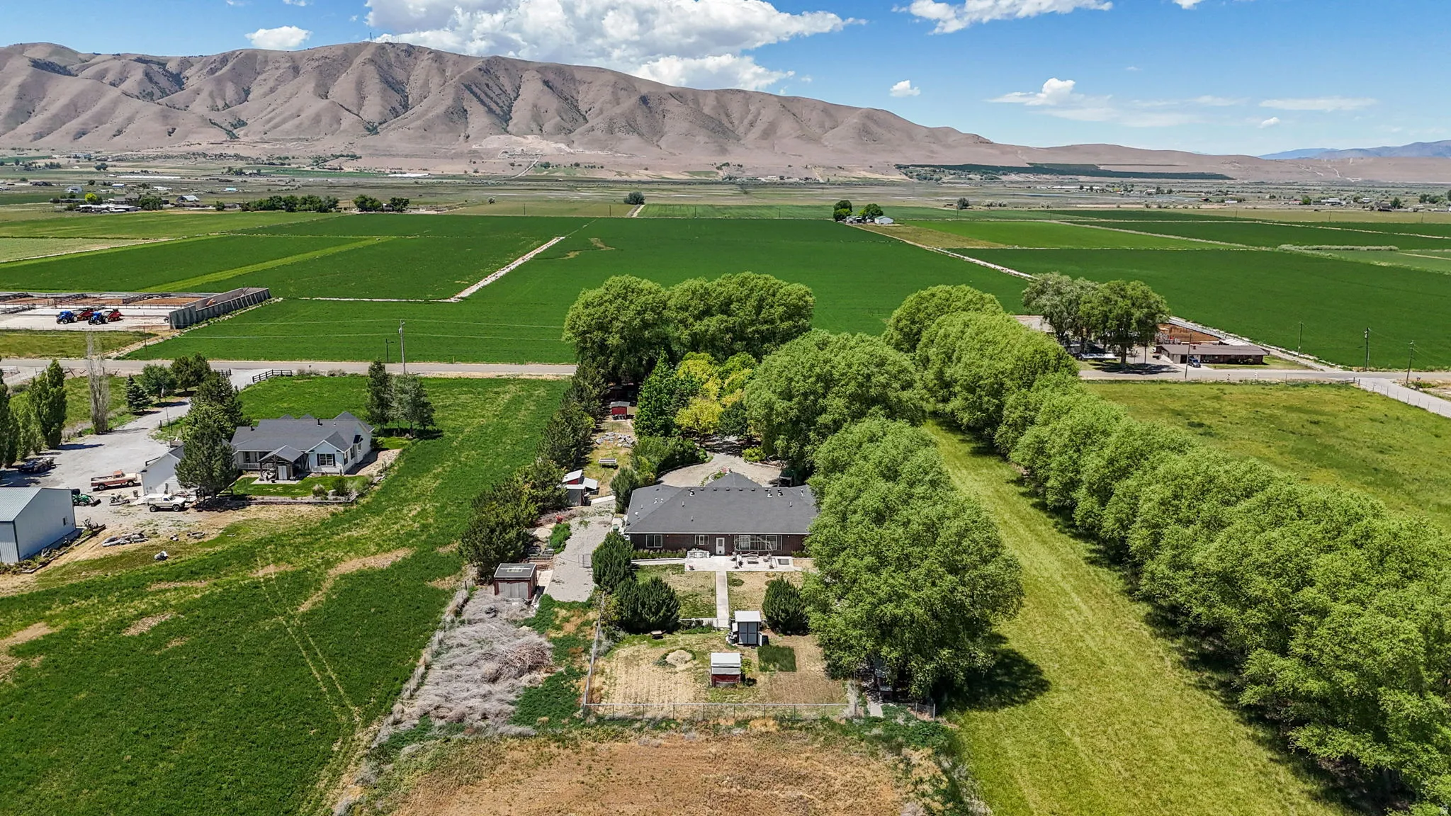 Expansive rural property featuring a main residence, mature trees lining a boundary, cultivated fields, and mountainous terrain in the distance
