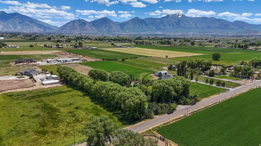 Expansive green fields with distant mountainous terrain under a clear sky