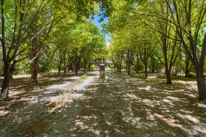 Gravel driveway surrounded by mature trees, providing natural shade and a secluded approach, Concrete Lion guards the way with a light behind lion.