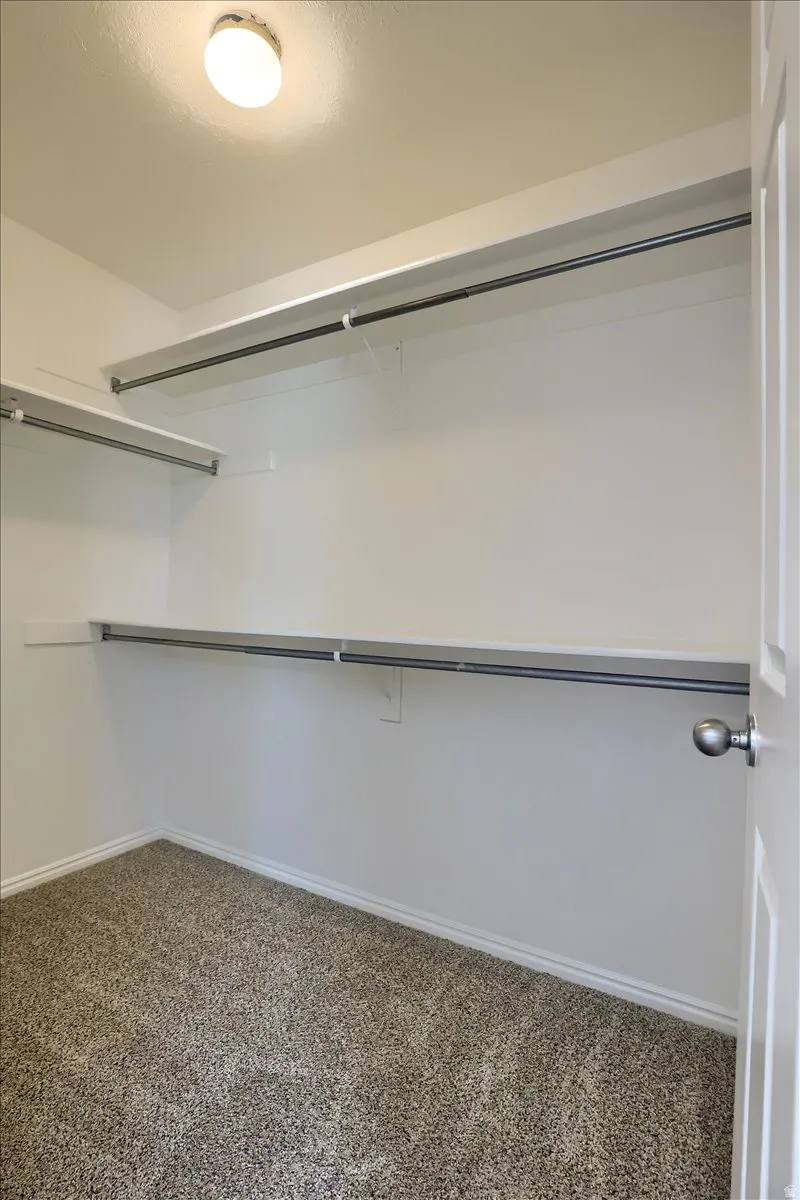 Walk-in closet featuring built-in shelving, hanging rods, neutral wall color, and carpet flooring