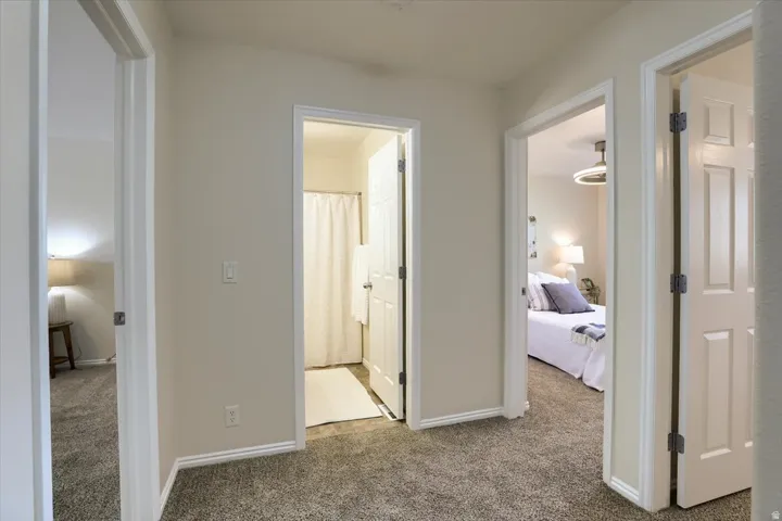 Carpeted hallway with three doorways