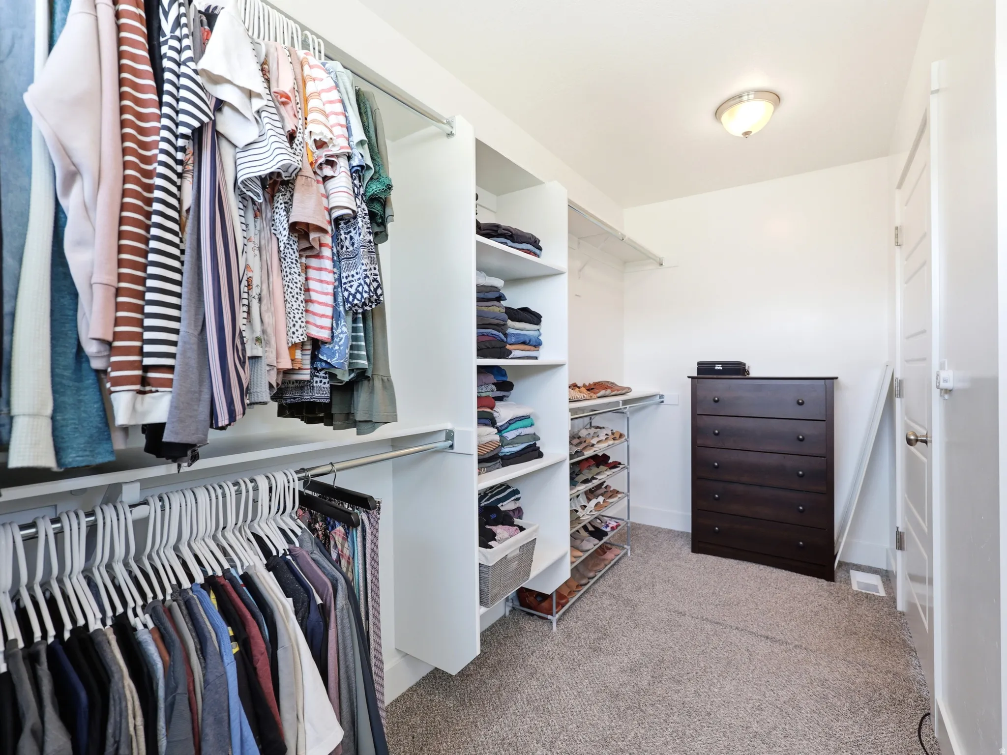 Spacious walk-in closet featuring extensive built-in shelving, chrome hanging rods, and light-toned carpeting