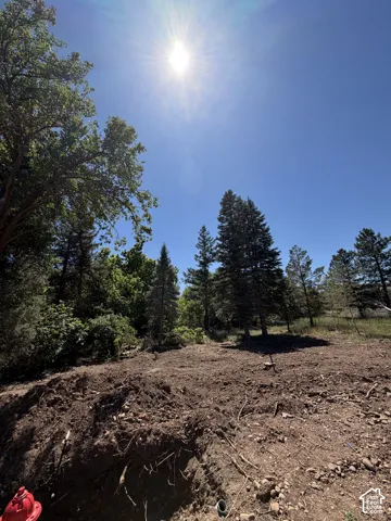 Cleared lot featuring a fire hydrant and mature trees bordering the property