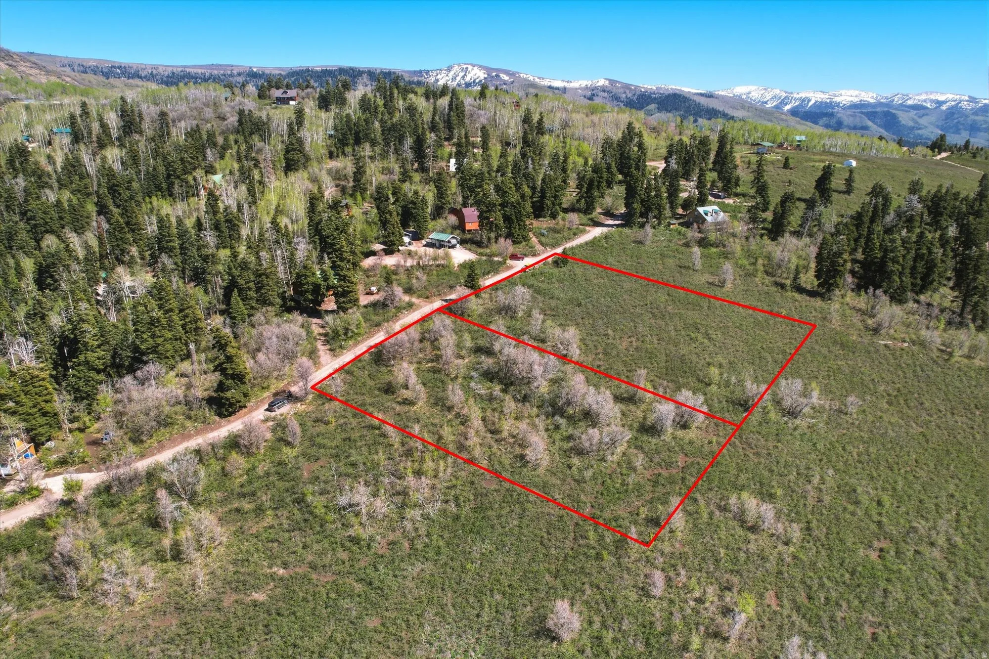 Expansive land parcels outlined in red, featuring varied terrain with a mix of mature evergreens and deciduous trees