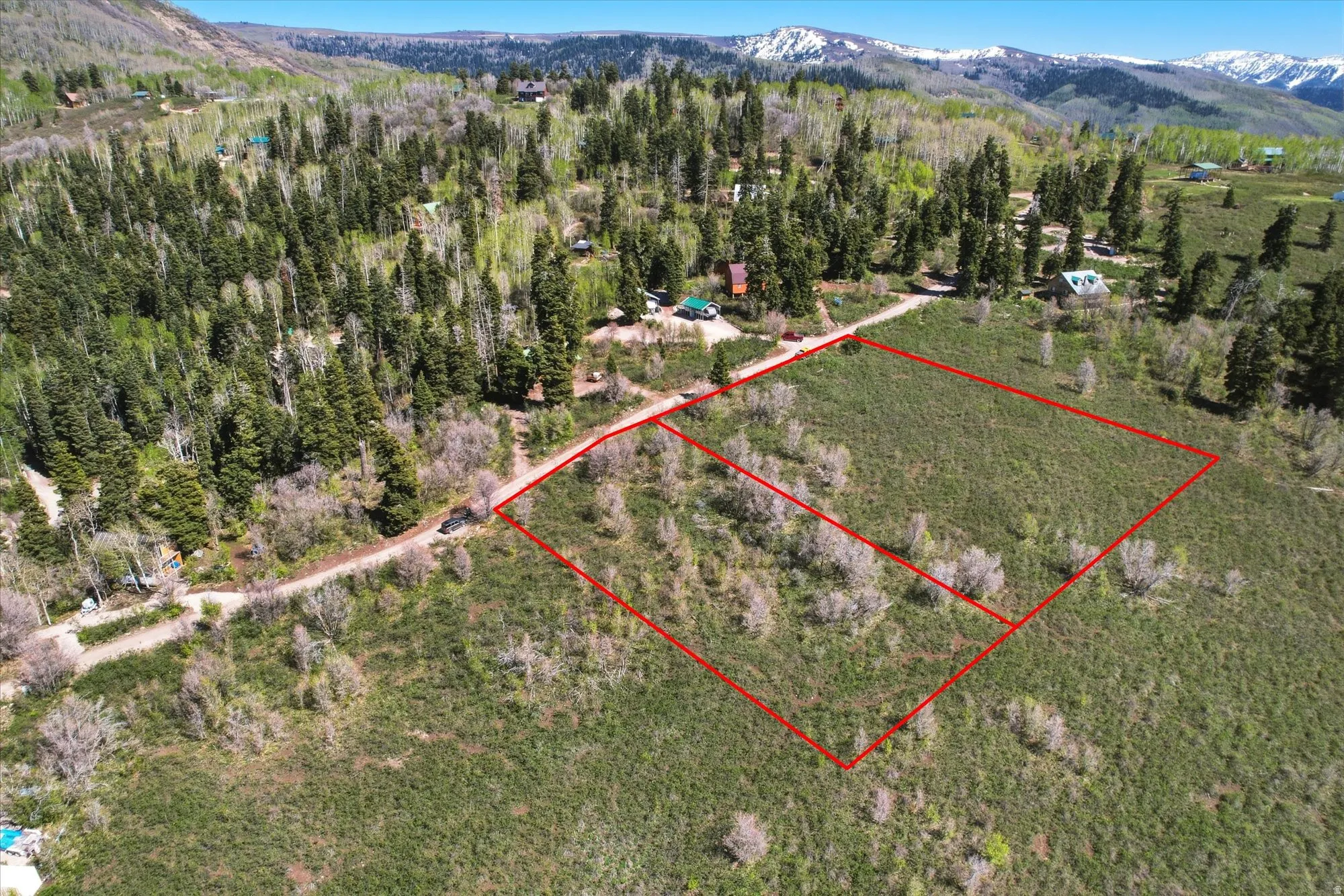 Expansive mountain lot featuring a natural landscape of varied vegetation and mature trees, with a mountain backdrop