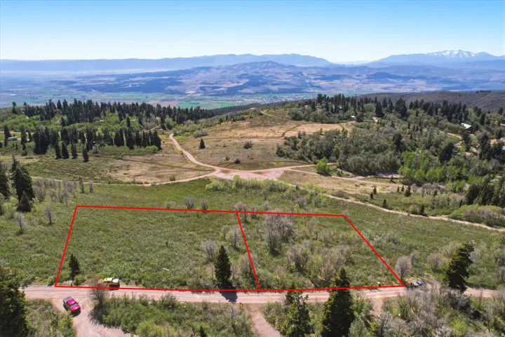 Two distinct parcels of land outlined in red, featuring varied topography with mature trees and natural vegetation