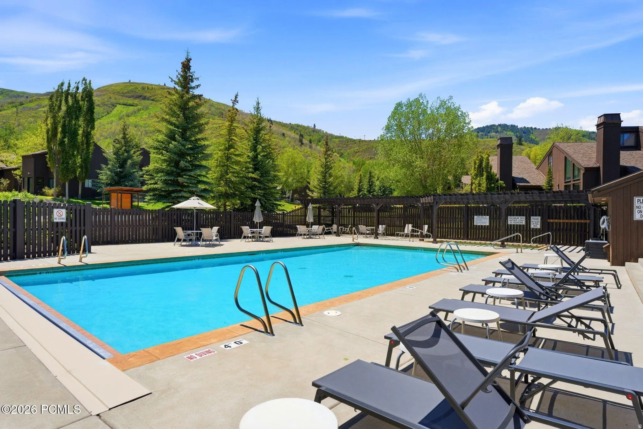 Outdoor swimming pool with concrete surround, perimeter fencing, and mature evergreen trees