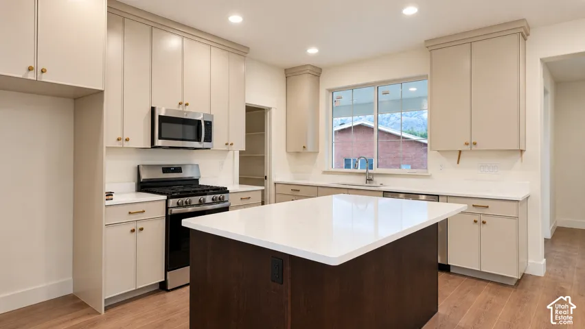 Kitchen featuring a central island with a quartz countertop, light-toned custom cabinetry, stainless steel appliances, and wood-finish flooring