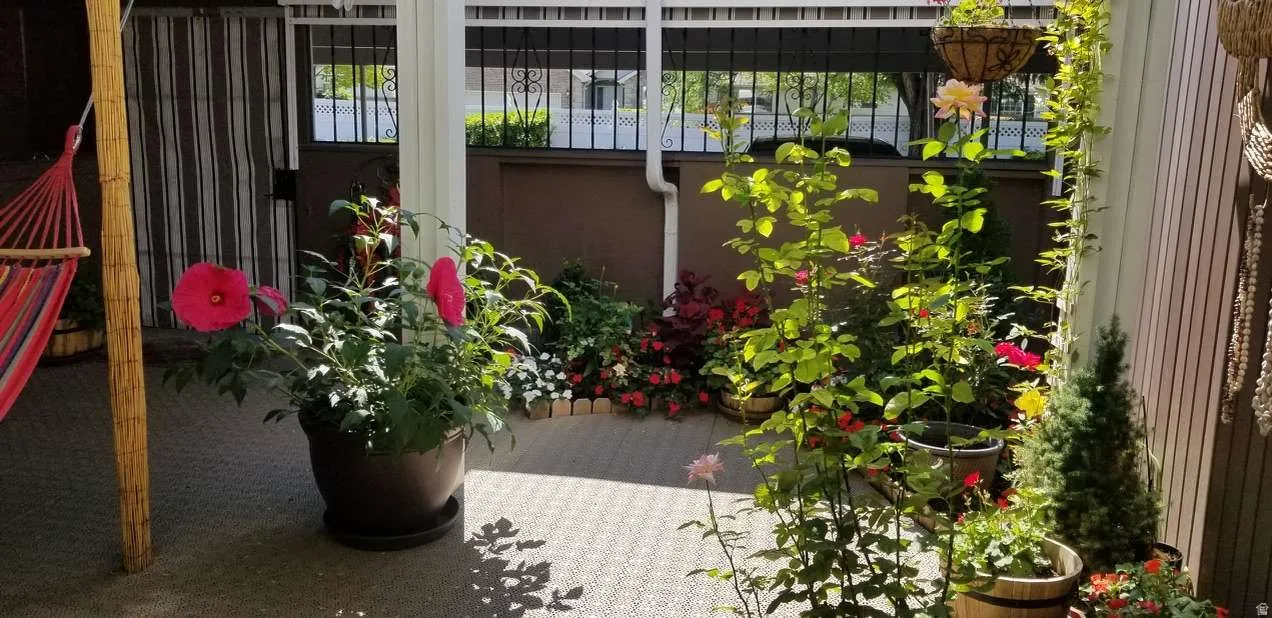 Paved patio area featuring perimeter garden beds with mature plantings and a partial pergola structure