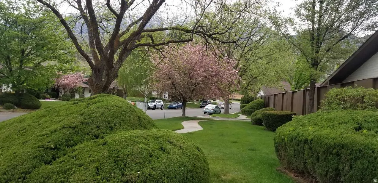 Lush front yard with manicured shrubs and verdant lawn