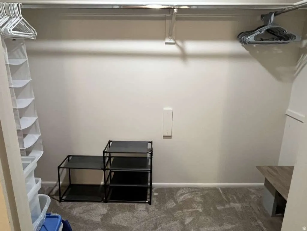 Closet featuring a single clothes hanging rod, neutral wall paint, and gray carpet flooring