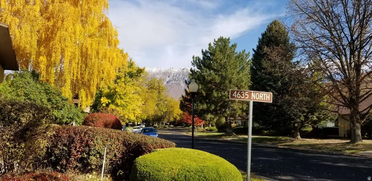 Street scene featuring mature trees with vibrant autumn foliage, a paved road, and a distant mountain backdrop