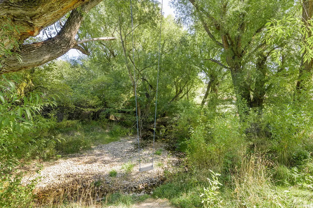 Wooded area featuring a dry creek bed and mature trees