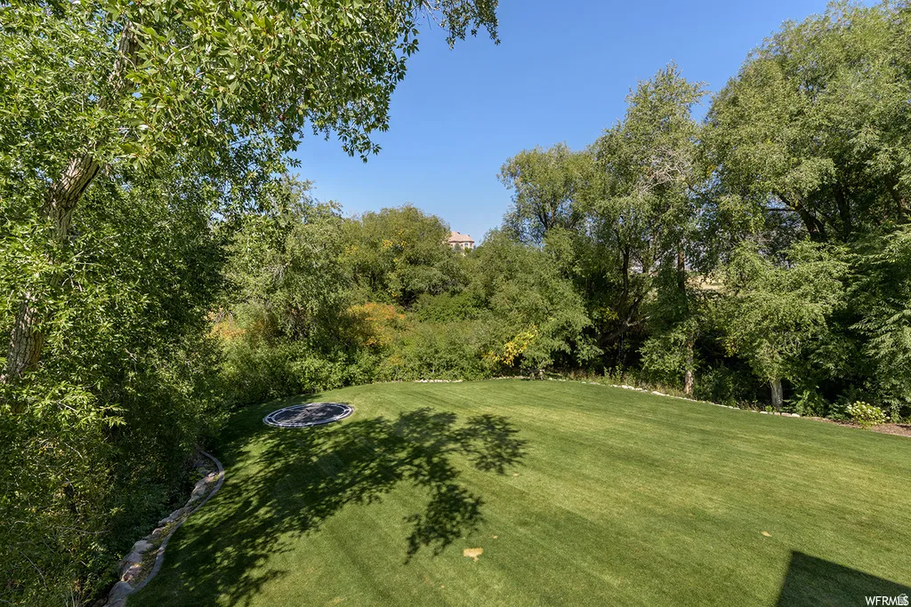 Expansive lawn bordered by mature trees and natural landscaping