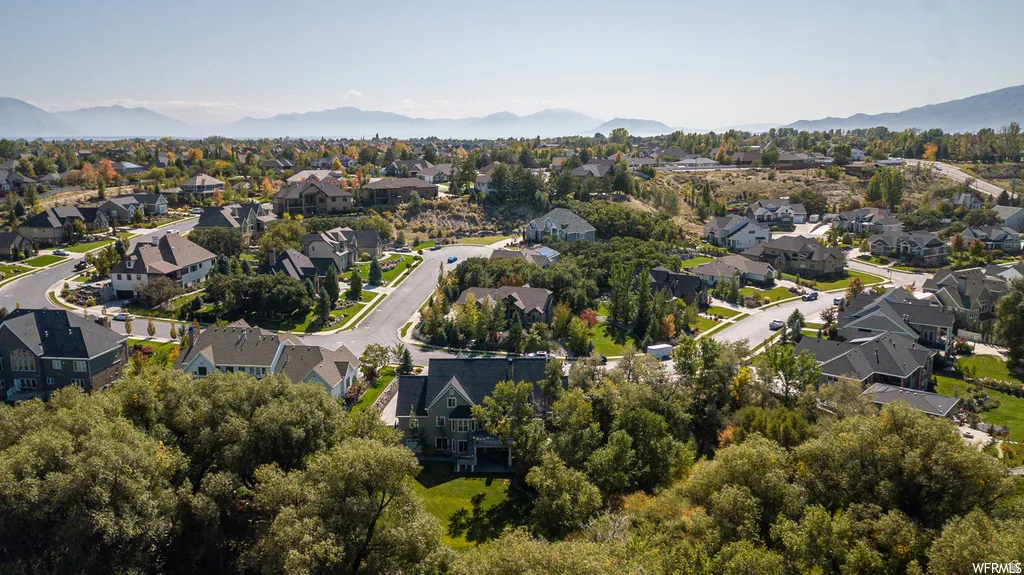 Aerial perspective highlighting a residential neighborhood with varied architectural styles and mature trees