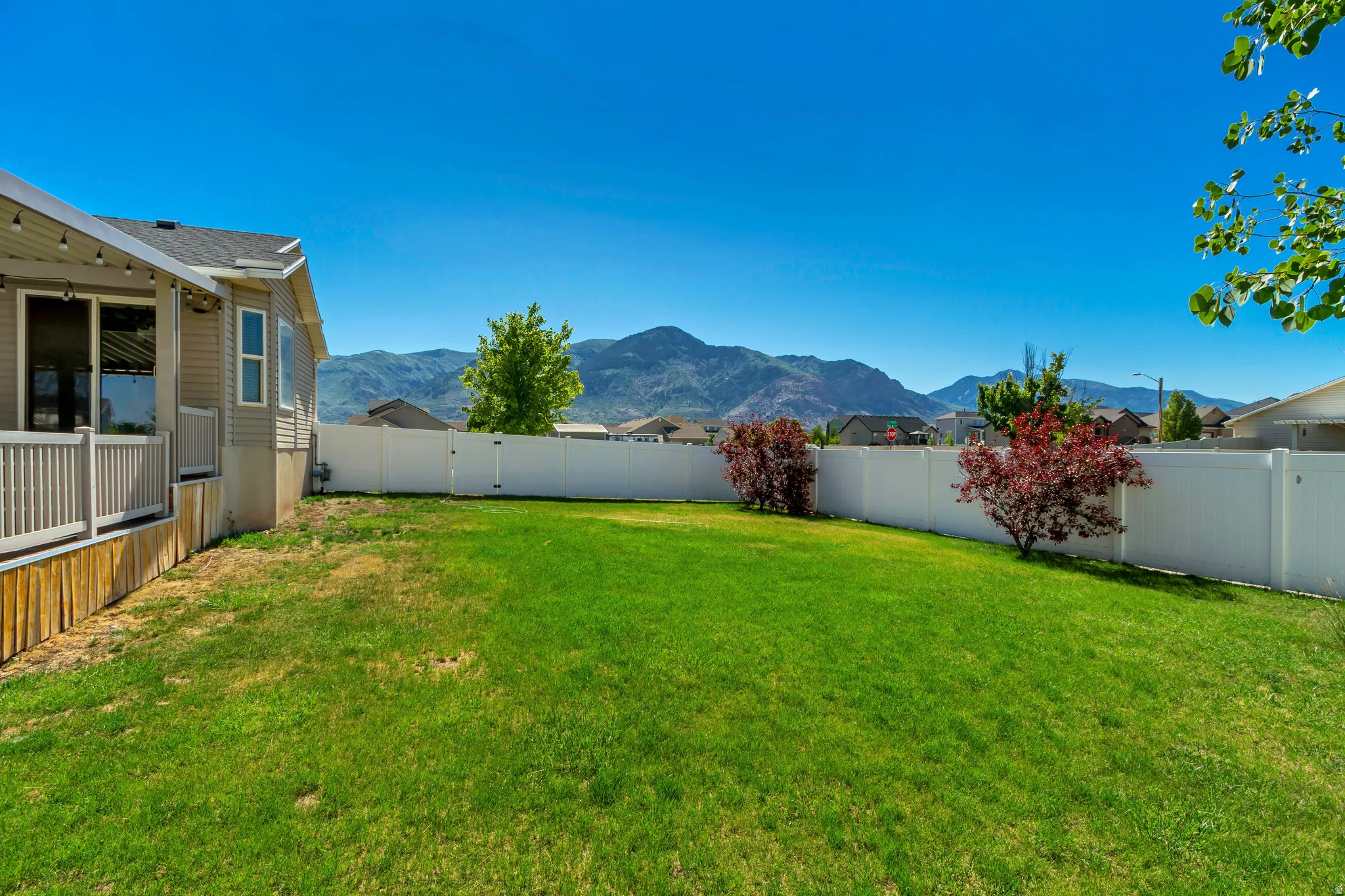 Spacious backyard featuring a manicured lawn, white vinyl fencing, and mature landscaping