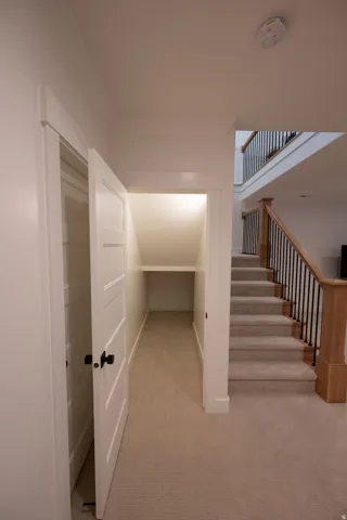 Under-stair storage area featuring a built-in shelf and light-colored carpeting