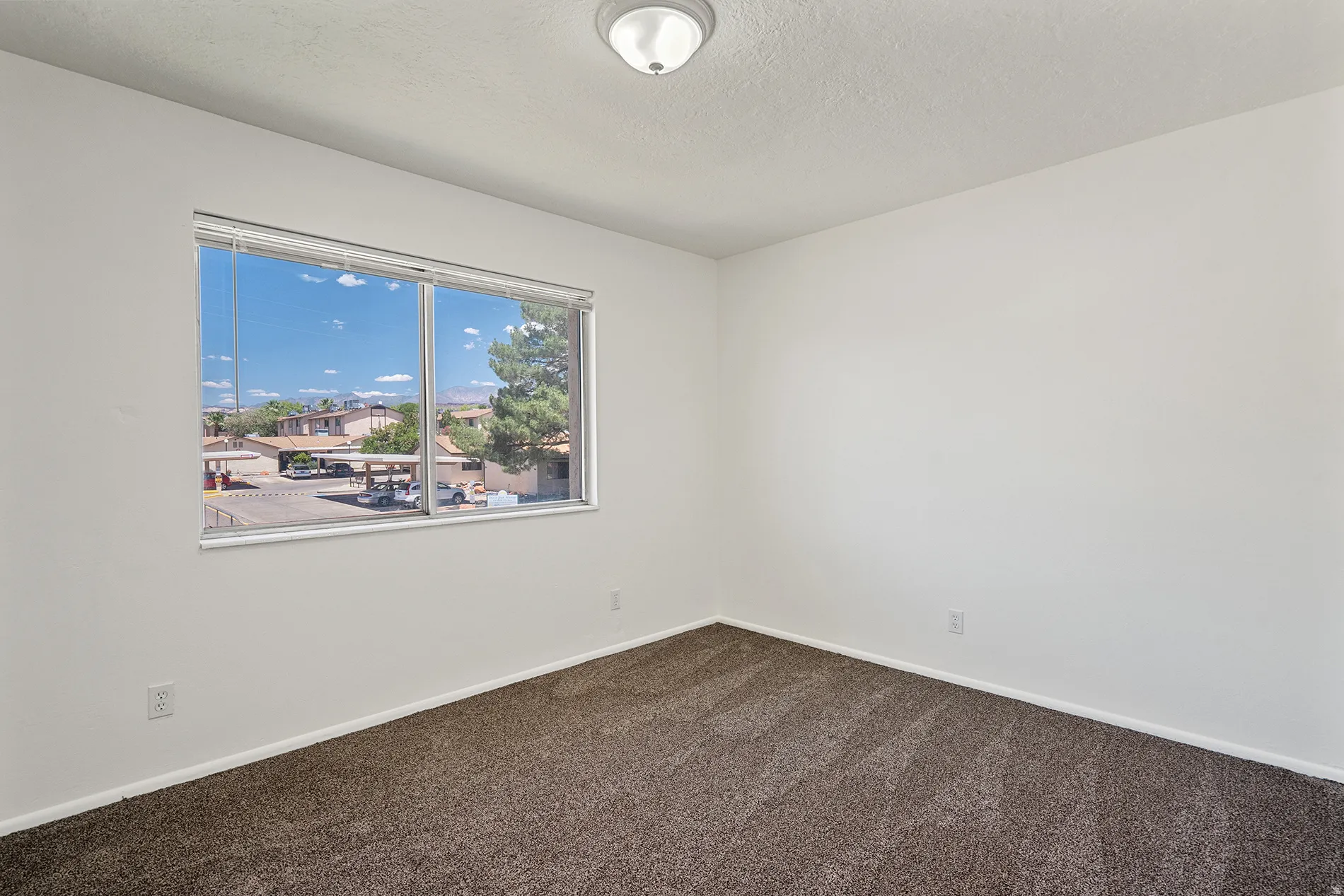 Carpeted interior space featuring a large window, white walls, and a ceiling-mounted light fixture