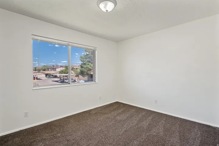 Carpeted interior space featuring a large window, white walls, and a ceiling-mounted light fixture